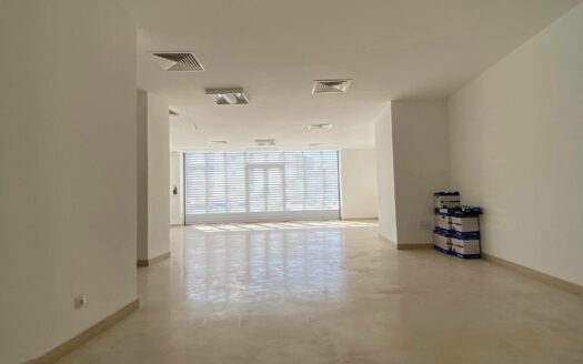 Clone:  Magasin à louer